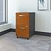 Bush Business Furniture Series C 2 Drawer Mobile File Cabinet in Natural Cherry