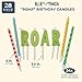 Roar Birthday Cake Topper Letters with Thin Printed Candles and Holders (28 Pack)