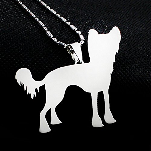 Stainless Steel Chinese Crested Dog Puff Curtis Dog Pet Dog Tag Breed Collar Charm Pendant Necklace