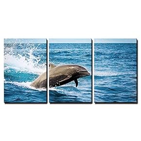 Dolphin Jumping in The Ocean Wall Decor x3 Panels