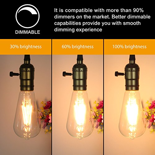 LED Edison Bulb Dimmable 6W Vintage Led Light Bulb 60W Equivalent 2200K