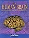 The Human Brain: An Introduction to Its Functional Anatomy