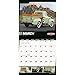 Classic Ford Pickups 2018 Wall Calendar
