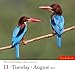 Audubon Birds Page-A-Day Calendar 2019