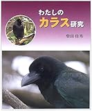 わたしのカラス研究 (やさしい科学)
