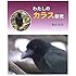 わたしのカラス研究 (やさしい科学)