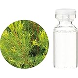 生活の木 エッセンシャルオイル ティートゥリー 10ml