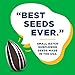 Chinook Seedery Premium Sunflower Seeds, Small Batch, Non-GMO, Original Flavor, 1.5oz Snack Bag, Pack of 18