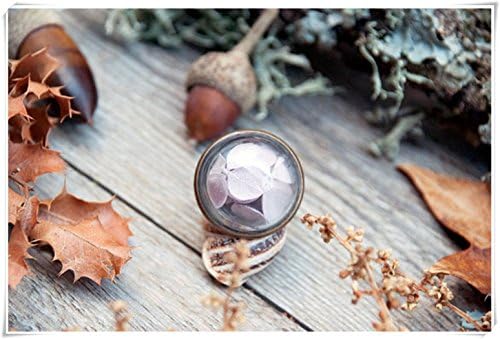 real flowers ring, vial, botanical jewlelry, Terrarium ring, real hydrangea jewelry, glass vial,dried flowers, gift for her,