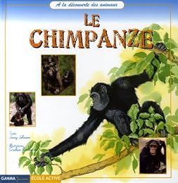 Le  chimpanzé