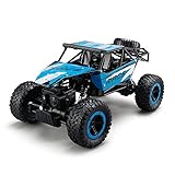 ToyPark Remote Control Cars,RC Rock Off-Road Vehicle 2.4Ghz 4WD Fast Speed Racing Cars