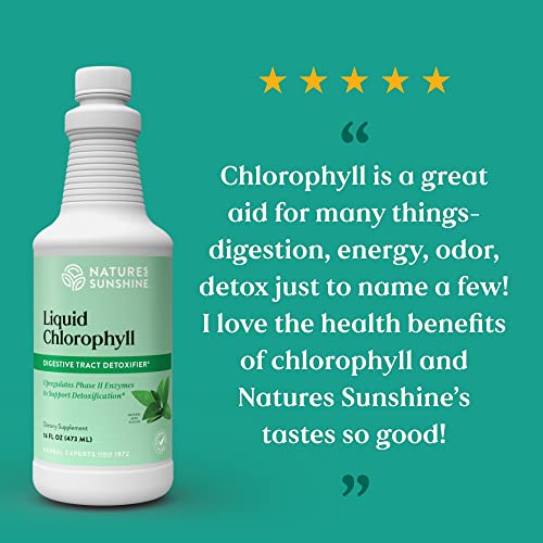 Nature's Sunshine Liquid Chlorophyll Immunity Support, Detox