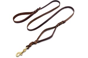 Wellbro Leather Double Handle Dog Leash-1.8cm Width by 6ft Length, Braided Training Lead with Traffic Handle, Easy Control and Heavy Duty