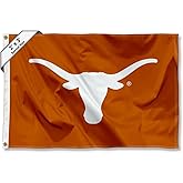 Texas Longhorns Small 2x3 Foot Flag