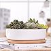 Y&M(TM) Succulent Planter Ceramic with Bamboo Tray, 6 inch Modern White Ceramic Round Design for Succulent Planter Cactus Pots Decorative Flower Holder Bowl Basin,Tub