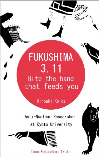 FUKUSHIMA 3.11