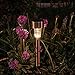 EcoCity 12-Pack Solar Lights Outdoor Garden Light Landscape / Pathway Lights Stainless Steel (Copper)