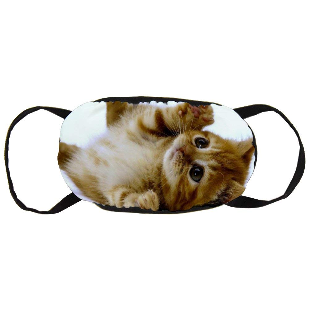 DKISEE Fashion Comfortable Face Mask Cuddle Kitten Cotton Anti-Dust Mouth Mask Reusable Outdoor Protective Mask for Adults and Teens