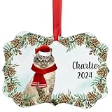 Tabby Birman Cat Christmas Ornament 2024