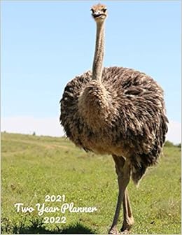 Emu Calendar 2022 2021-2022 Two Year Planner: Ostrich 24 Month Monthly Agenda Schedule  Organizer Yearly Planner 2021-2022 2 Year Planner Goals Calendar | Notebook  Diary | Ratite Emu Khea Kiwi Flightless Peacock Duck Geese Swan