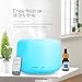 With Remote Control Aromatherapy Essential Oil Diffuser Ultrasonic Cool Mist Aroma Humidifier with 7 Color LED Lights Changing and Waterless Auto Shut-off Function for Home Office Bedroom Room
