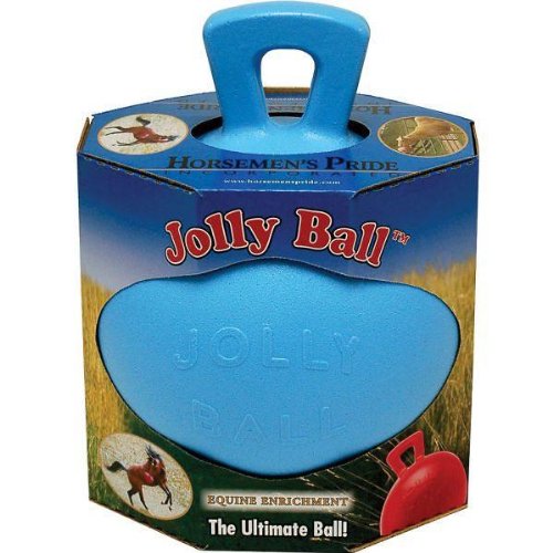 Jolly Ball Blueberry