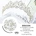 Aukmla Queen Crowns and Tairas Gold Crystal Crown Wedding Costume Headpeice Headband Hair Accessories for Women and Girls (Gold)