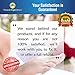 Foot Pads, 20 Premium Aromatherapy Adhesive Pads, Improves Sleep, Removes Impurities,100% Natural, Highest Quality Foot Patches by Natural Experience