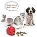 JAKPAK Jakpopin Dog Treat Ball [Fun Feeder][Safety Rubber] Jakpopin Training Toys IQ Treats Dog's Toy Ball Refillable Food Treat Ball for Dog Dispensing Toy Interactive 4.5 Inch Large, Red