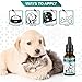 Kennel Cough Medicine for Dogs, Organic Dog Cough Medicine for Colds and Allergies - Natural Kennel Cough Treatment with Mullein Leaf and Elderberry
