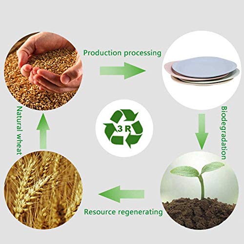 Saike 7.3\'\' 4Pack Wheat Straw Plates Set, Unbreakable Dishwasher and Microwave Safe Plates, Wheat Plates with Forks and Spoons