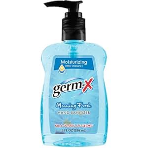 Amazon.com: Germ-X Hand Sanitizer, Morning Fresh, Pump