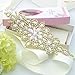 ShiDianYi Bridal Wedding Dress Sash Belt Applique with AB Stone Belt Waist Decoration Rhinestone Sash