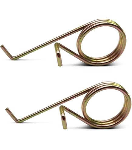 KIRA(=^・・^=) 61l9FsjtgBL._AC_UF350,