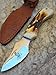 Bone Collector Hand Made Skinning/Hunting Knife BC807