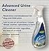 Furniture Clinic Urine Remover | Stain & Odor Eliminator For Dogs, Cats, Pets & and Human Urine Removal | Enzyme Activated Urine Spray | Get Urine Off Carpets, Mattresses and other Surfaces, 17 fl oz (500 ml)