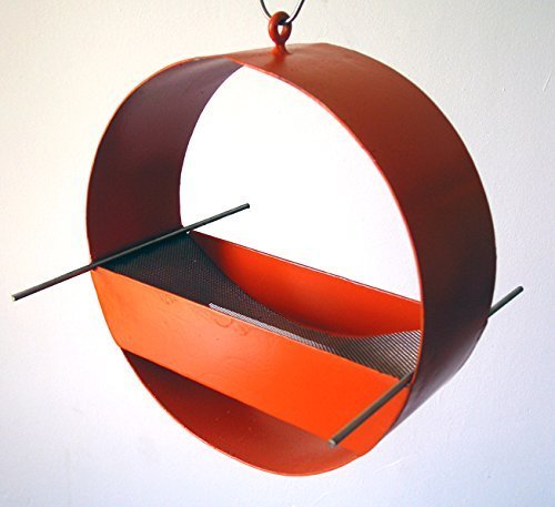 Charm Modern Bird Feeder In Orange Buy Online See Prices