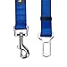 Blueberry Pet Dog Leash - Puppy Essentials & Heavy Duty Dog Leashes for Large Dogs, Safety Tether for Dogs & Cats, Royal Blue, 2