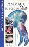 Animaux au bord de mer by 