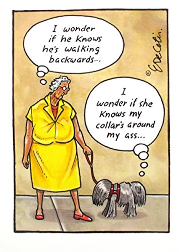 Humorous Greeting Card (PLK8795) - Blank/Birthday - Walking Backwards