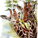 MXJSUA DIY 5D Diamond Painting Number Kits Round Drill Rhinestone Embroidery Cross Stitch Pictures Arts Craft Home Wall Decor 12x12In Two Giraffes