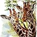 MXJSUA DIY 5D Diamond Painting Number Kits Round Drill Rhinestone Embroidery Cross Stitch Pictures Arts Craft Home Wall Decor 12x12In Two Giraffes