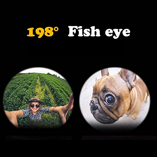 Phone lens 5 in 1 GUANZHI HD Camera Lens Kit 198 Degree Fisheye Lens/0.63x Wide Angle/15x Macro Lens/2X Telephoto Lens/CPL Lens for iPhone X/8/7/6/6s Plus/5s SE Samsung Galaxy S7/S7 E(5 in 1 Lens Kit)