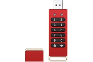 Encrypted USB Drive Secure Flash AES256-bit Hardware Password 3 0 Memory Stick Automatic Lock Personal Protection Aluminum Al