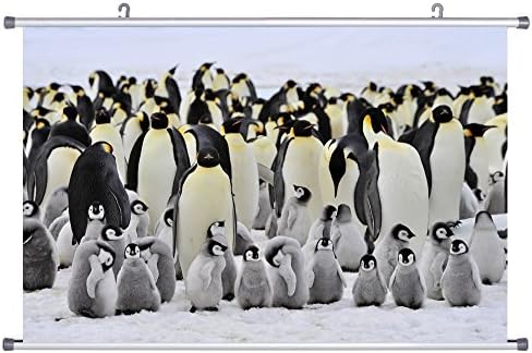 Art Print Wall Scroll Poster- Penguins, Baby Animals 24x32 inches
