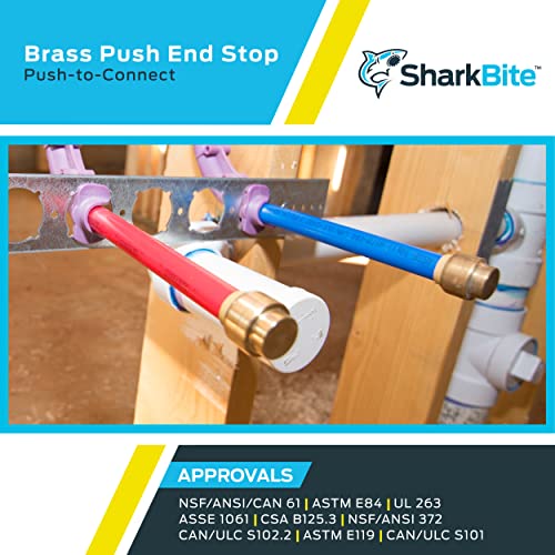 SharkBite 1 Inch Push Cap, Push to Connect Brass Plumbing Fitting, PEX