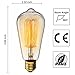 KINGSO Vintage Edison Bulbs 40W Squirrel Cage Filament Incandescent Antique Light Bulb for Home Light Fixtures E27 Base ST64 110V - 6 Pack