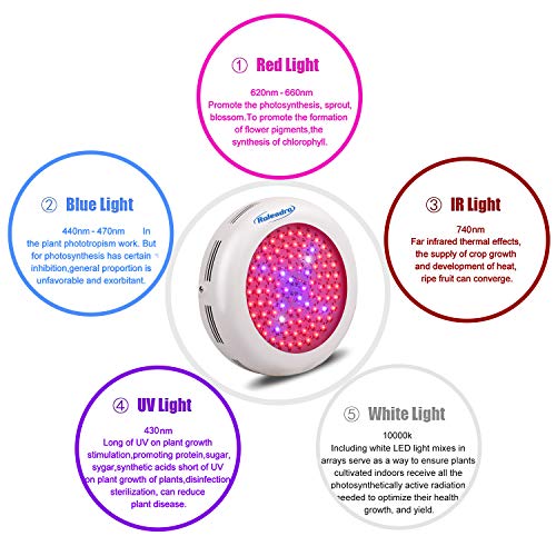 Roleadro UFO Led Grow Light 600w Led Plant Grow Light Bulb, Indoor Patio Plant Grow Lamp with Red Blue Full Spectrum, Garden Plant Grow Light Fixture for Hydroponics, Germination, Veg, flower,