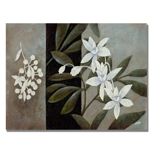 Trademark Fine Art White Fresh by Rio Canvas Wall Art, 26 by 32-Inch