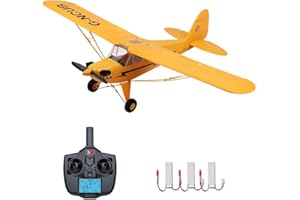 GoolRC WLtoys XK A160 RC Plane, 2.4GHz 5 Channel Brushless Remote Control Airplane for Adults, Stunt Flying RC Aircraft with 3D/6G Mode and 3 Batteries, Easy to Fly for Boys and Girls